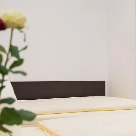 Fuerstenhof Hotell 3*